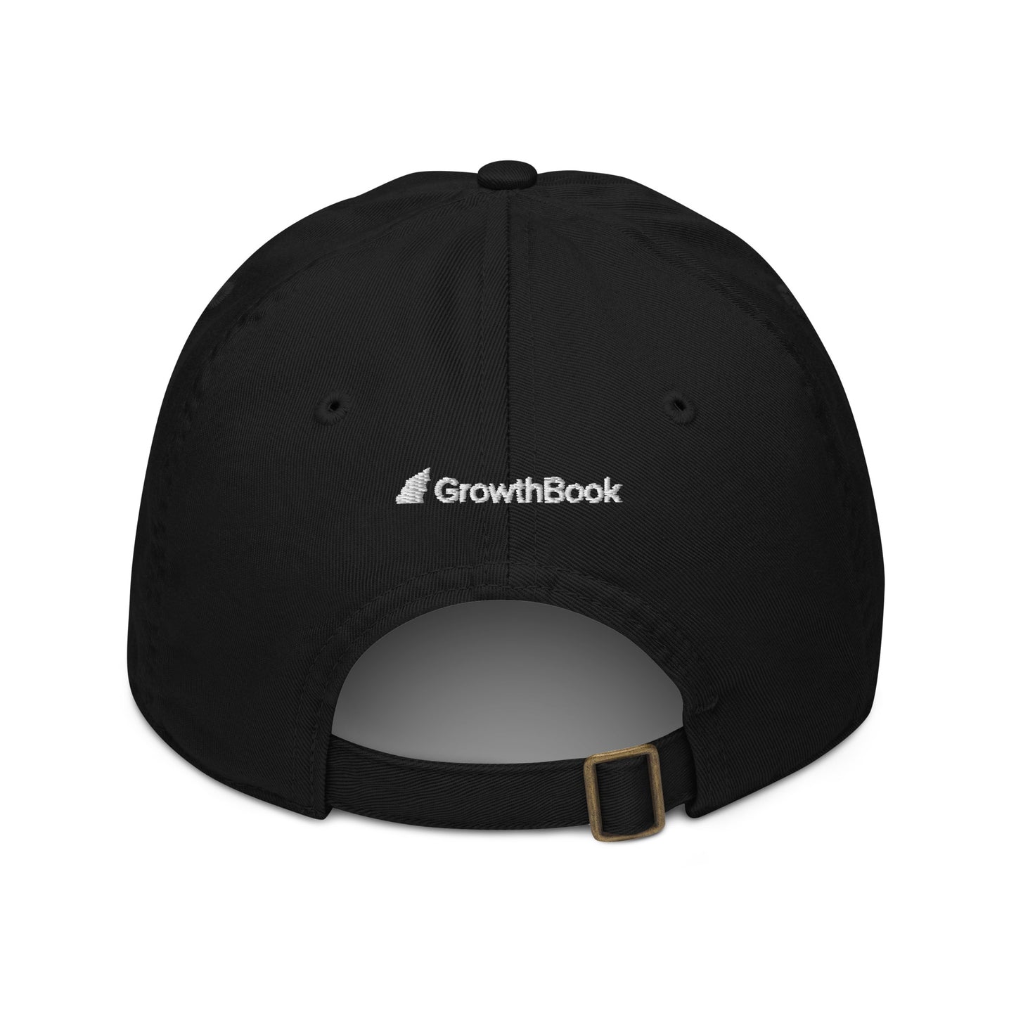 Experiment Organic dad hat