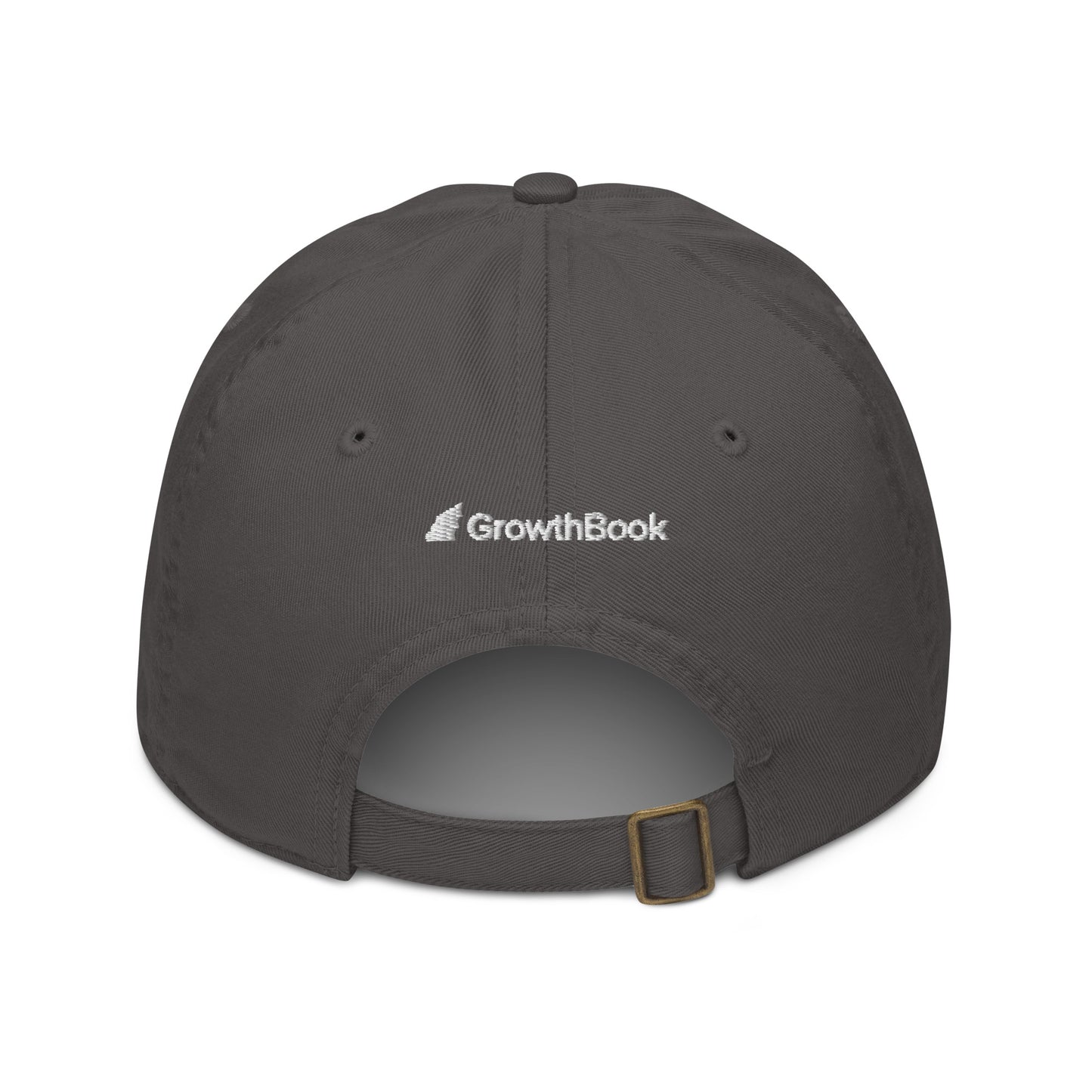 Experiment Organic dad hat