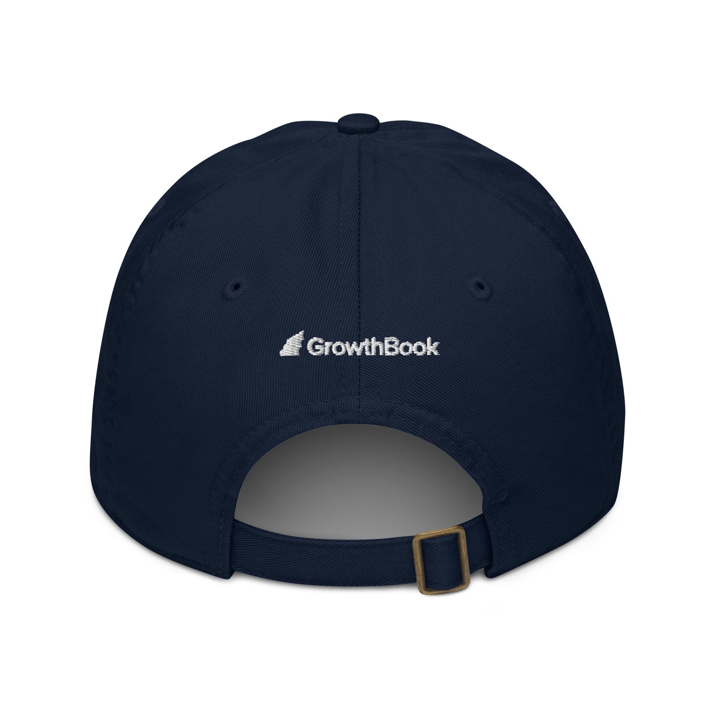 Experiment Organic dad hat