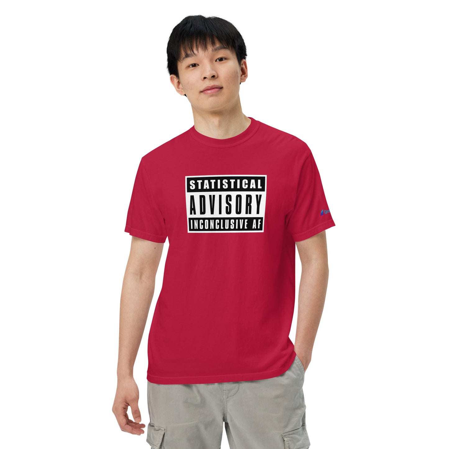 Statistical Advisory: Inconclusive AF - Unisex garment-dyed heavyweight t-shirt