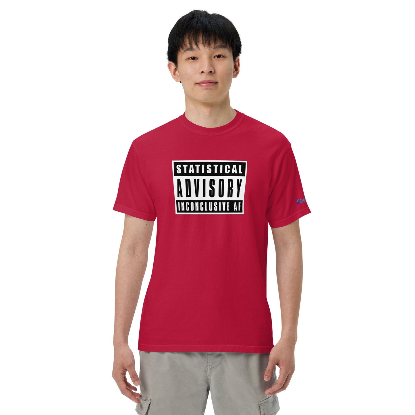 Statistical Advisory: Inconclusive AF - Unisex garment-dyed heavyweight t-shirt