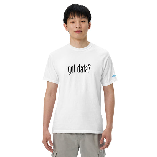 Got data? Garment-dyed heavyweight t-shirt